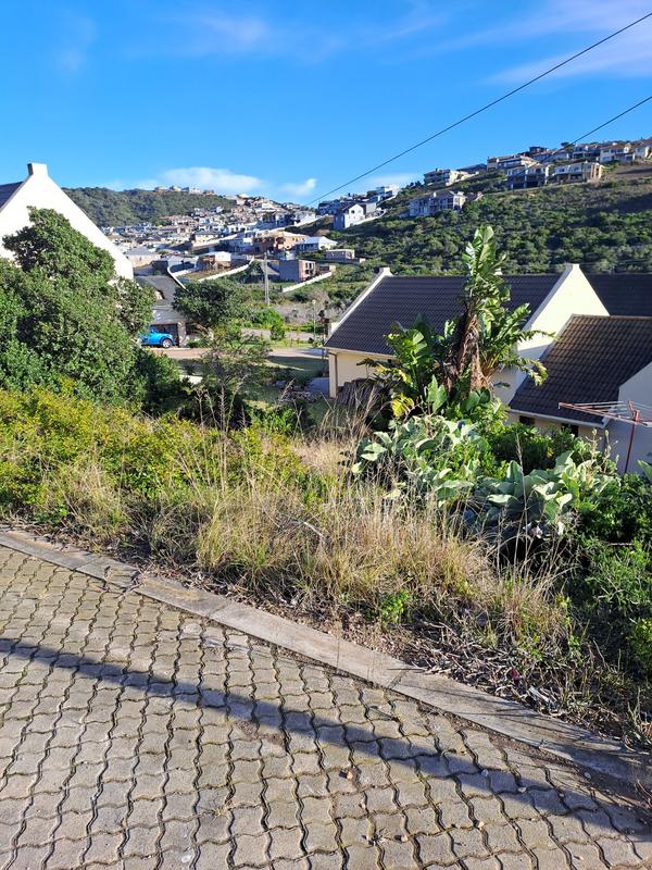 0 Bedroom Property for Sale in Vakansieplaas Western Cape
